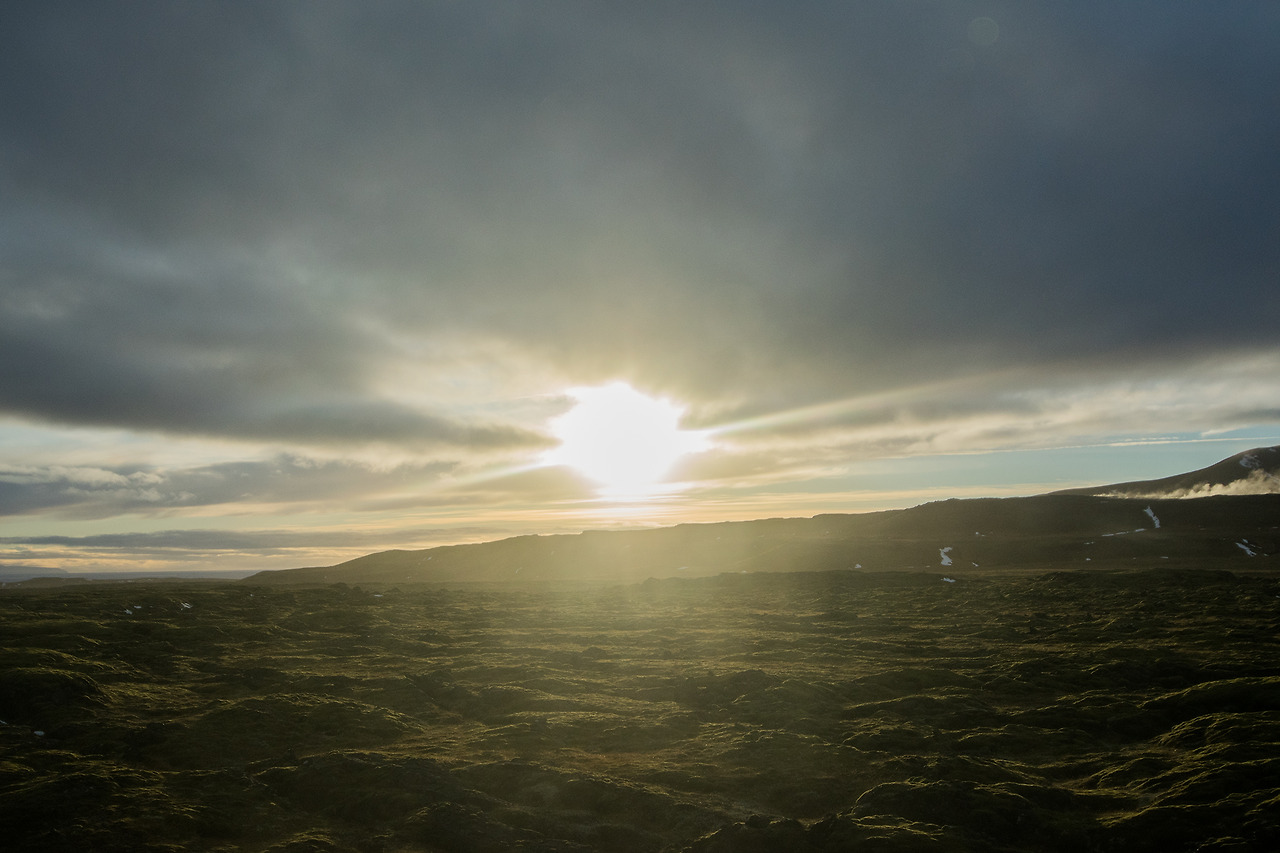 동토의 여명.jpg