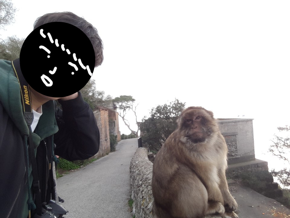 원숭이와 셀카.jpg