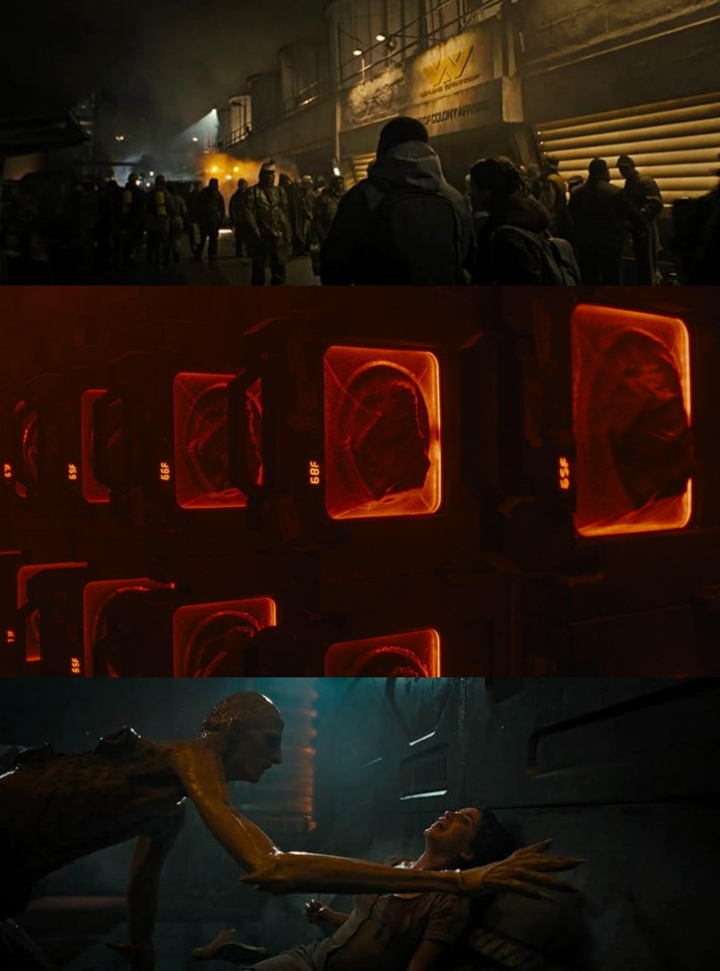 Cap 2024-11-17 20-32-13-320-vert.jpg