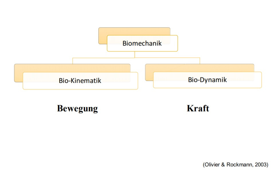 제목업ㅇㅇ 2.jpg