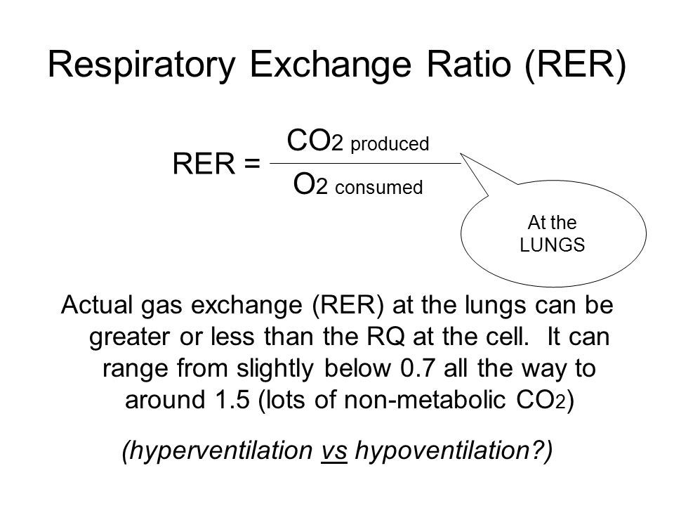 Respiratory+Exchange+Ratio+%28RER%29.jpg