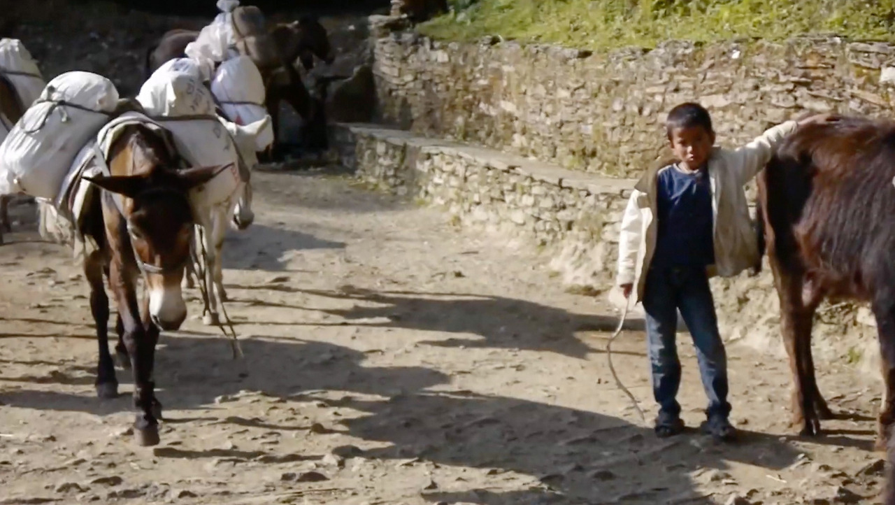 스크린샷 2018-03-15 16.40.06_Snapseed.jpg