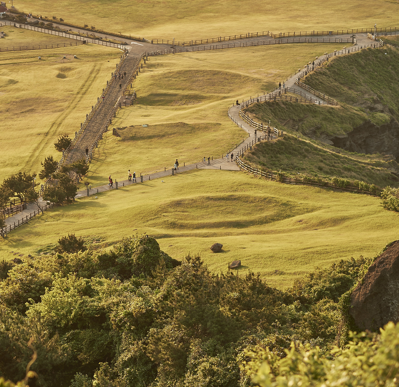 Can we walk together?.jpg