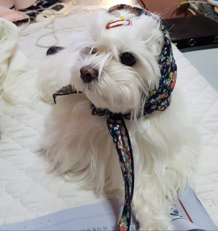 KakaoTalk_20191022_145407450.jpg