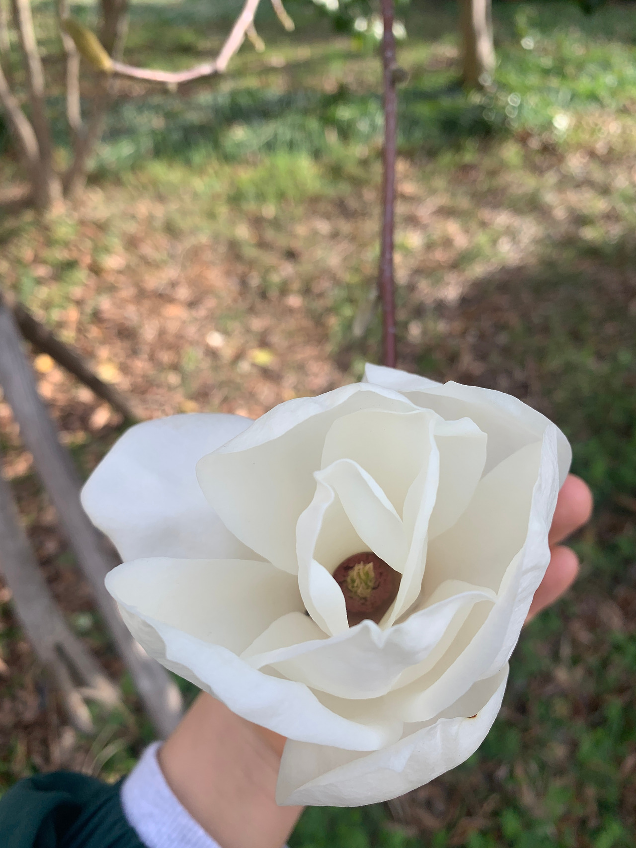 카지노 게임