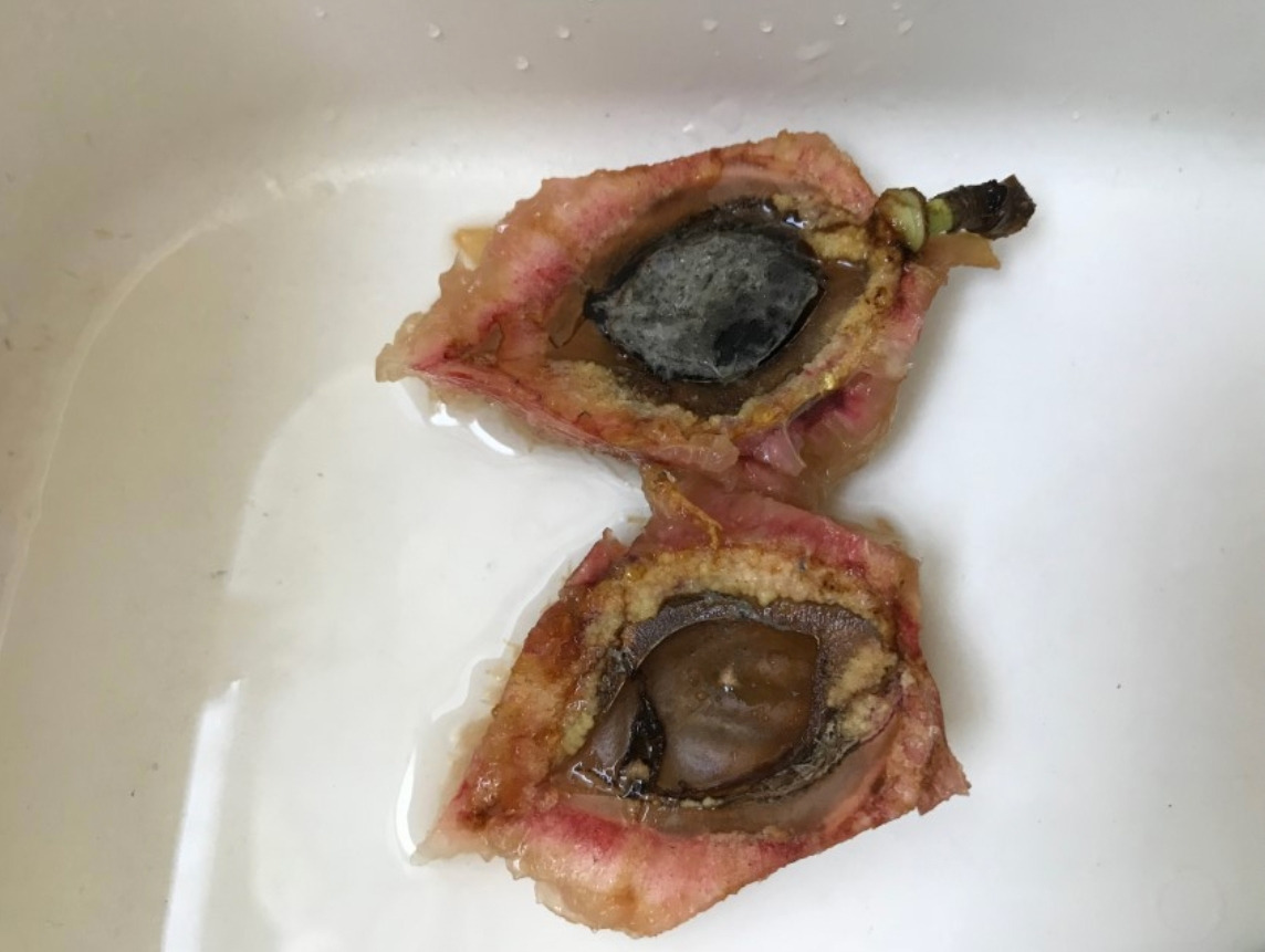 스크린샷 2018-07-26 오전 11.30.49.jpg