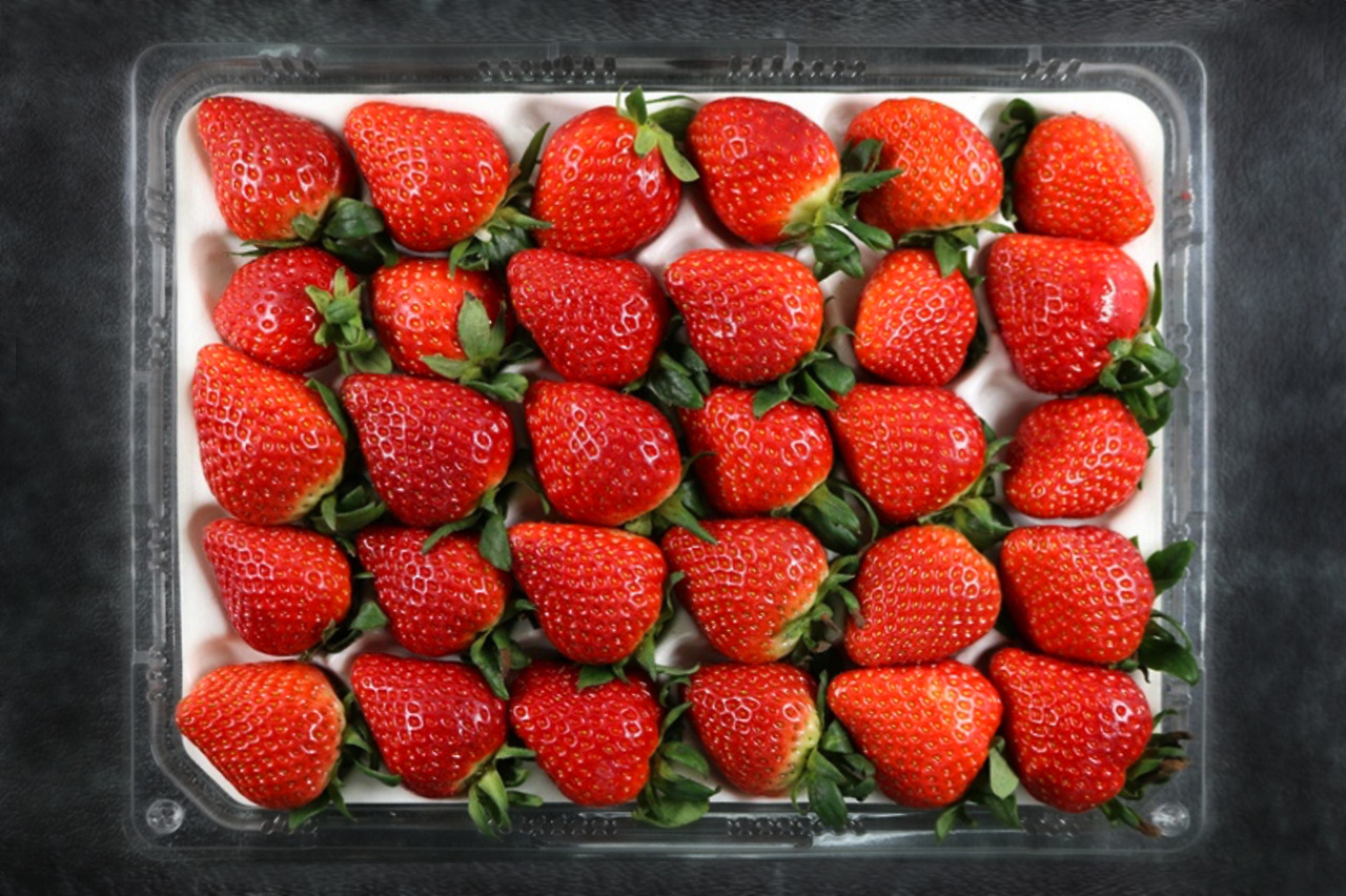 스크린샷 2018-01-12 오후 5.39.400-1.jpg