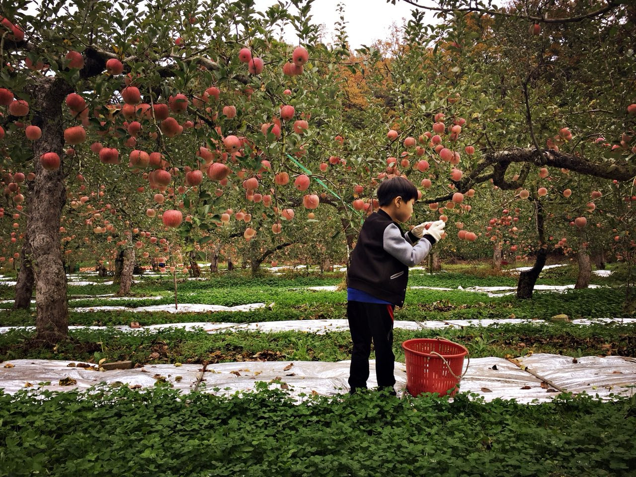 2017-10-11 09.25.26.jpg