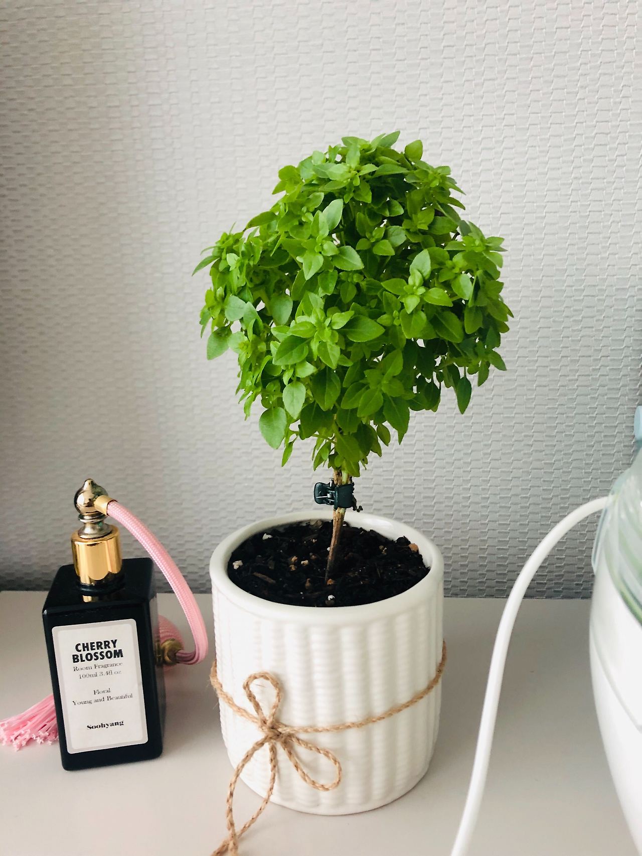 Image from iOS (4).jpg