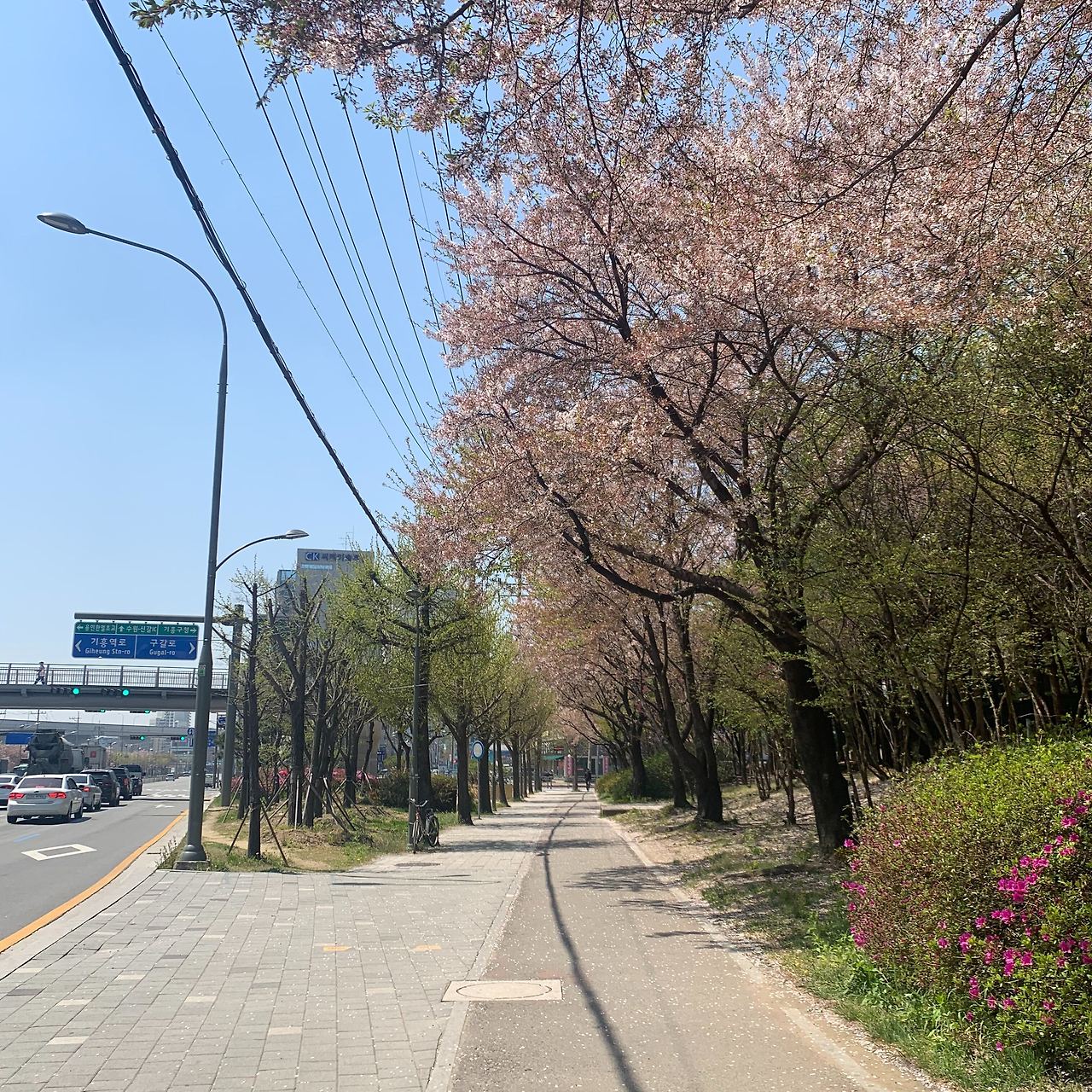 Image from iOS (5).jpg