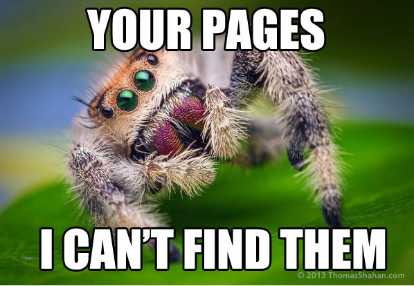 dwell-time-search-engine-spider.jpg