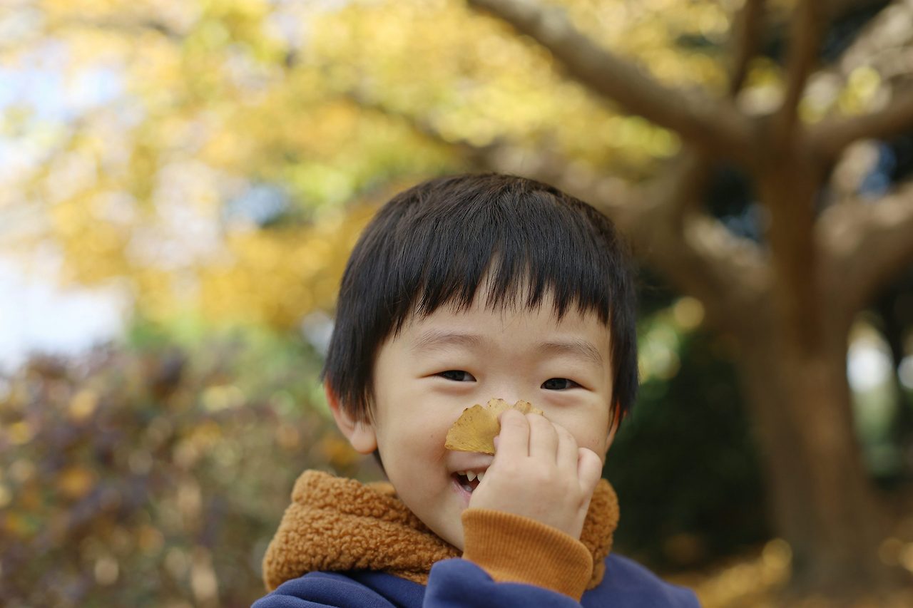 무료 카지노 게임