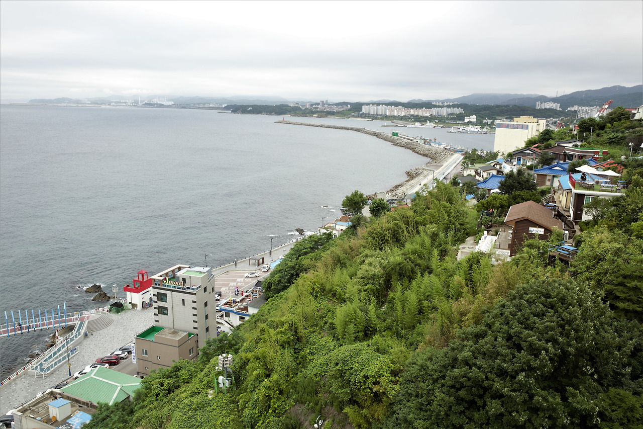 올빼미 (14).jpg