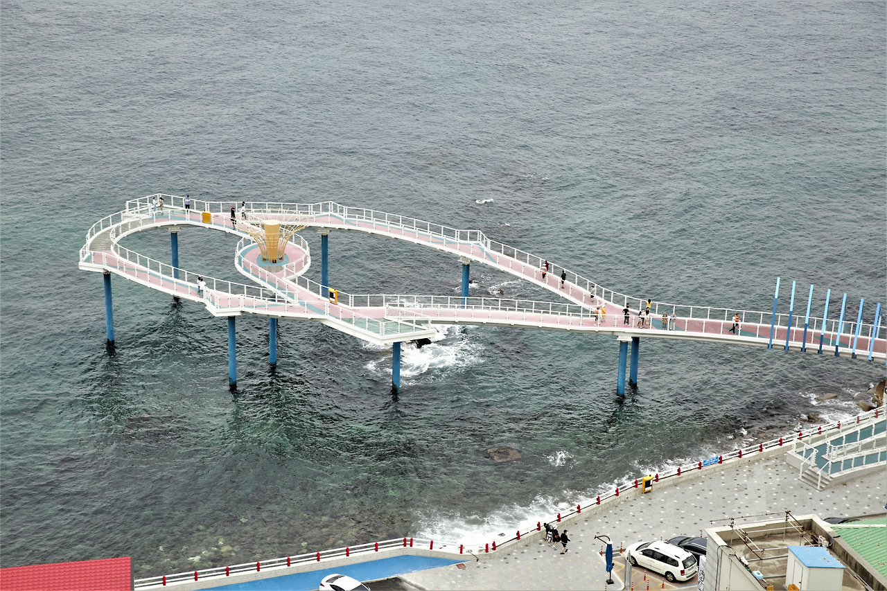 올빼미 (15).jpg