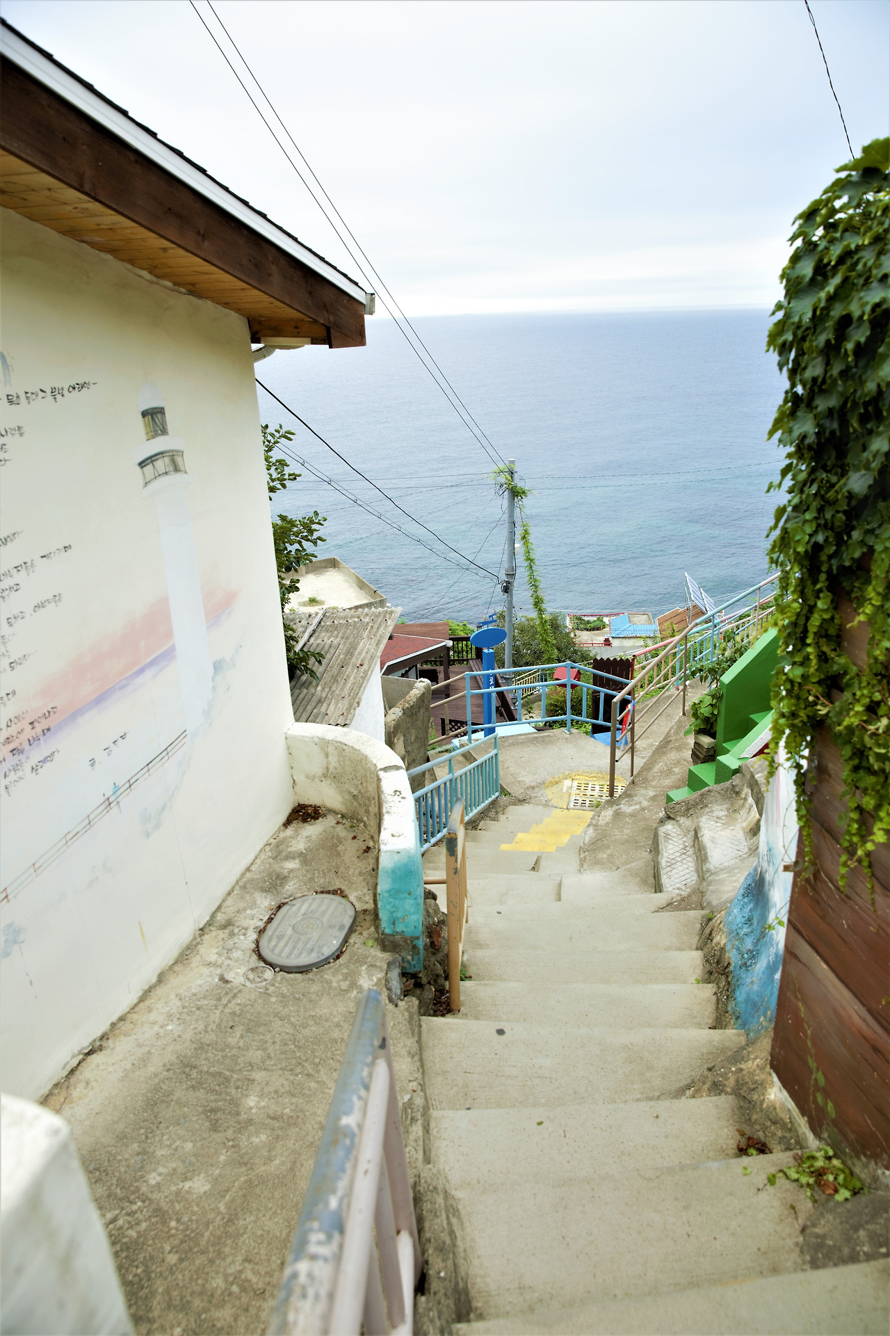 올빼미 (20).jpg