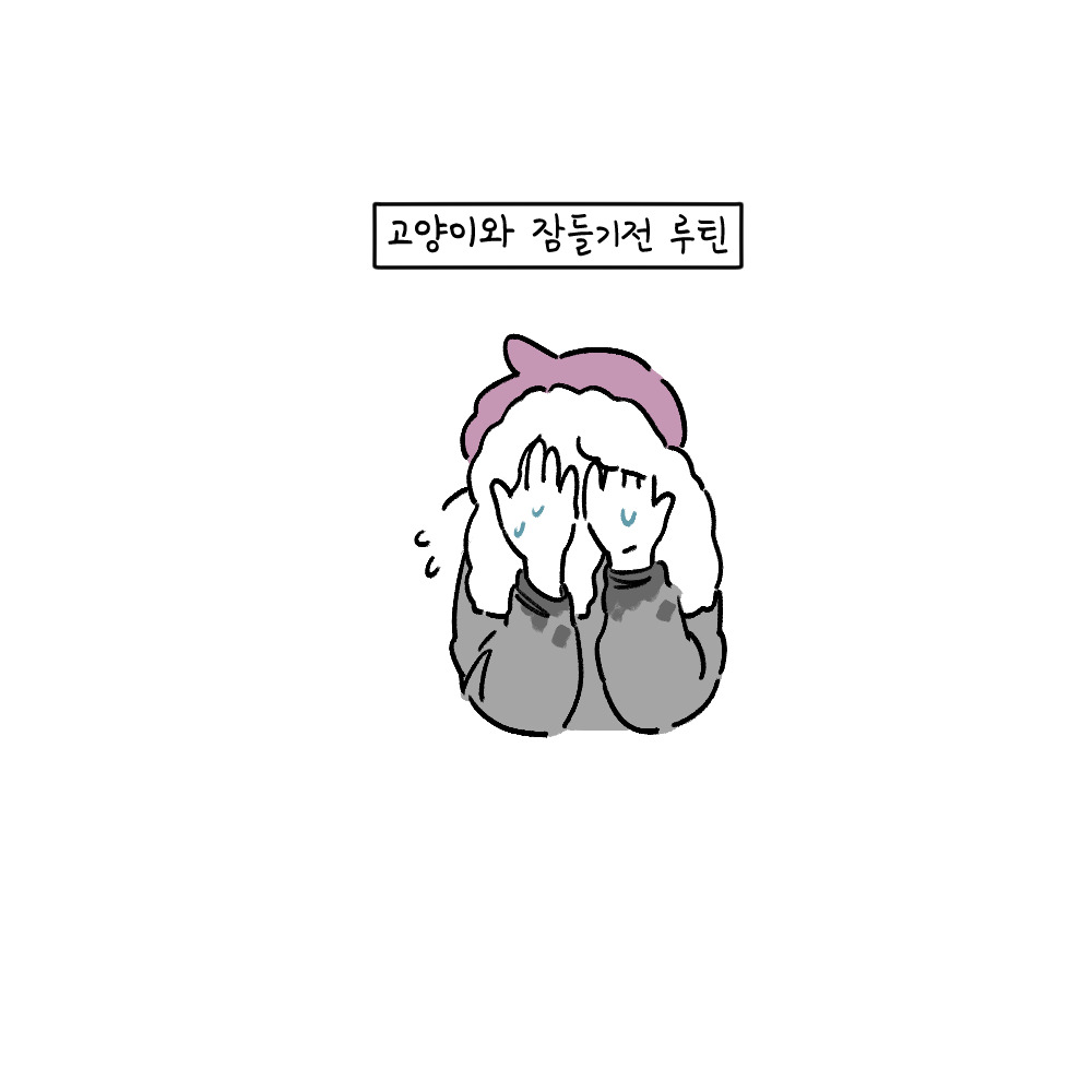 고양이와 잠들기전 루틴