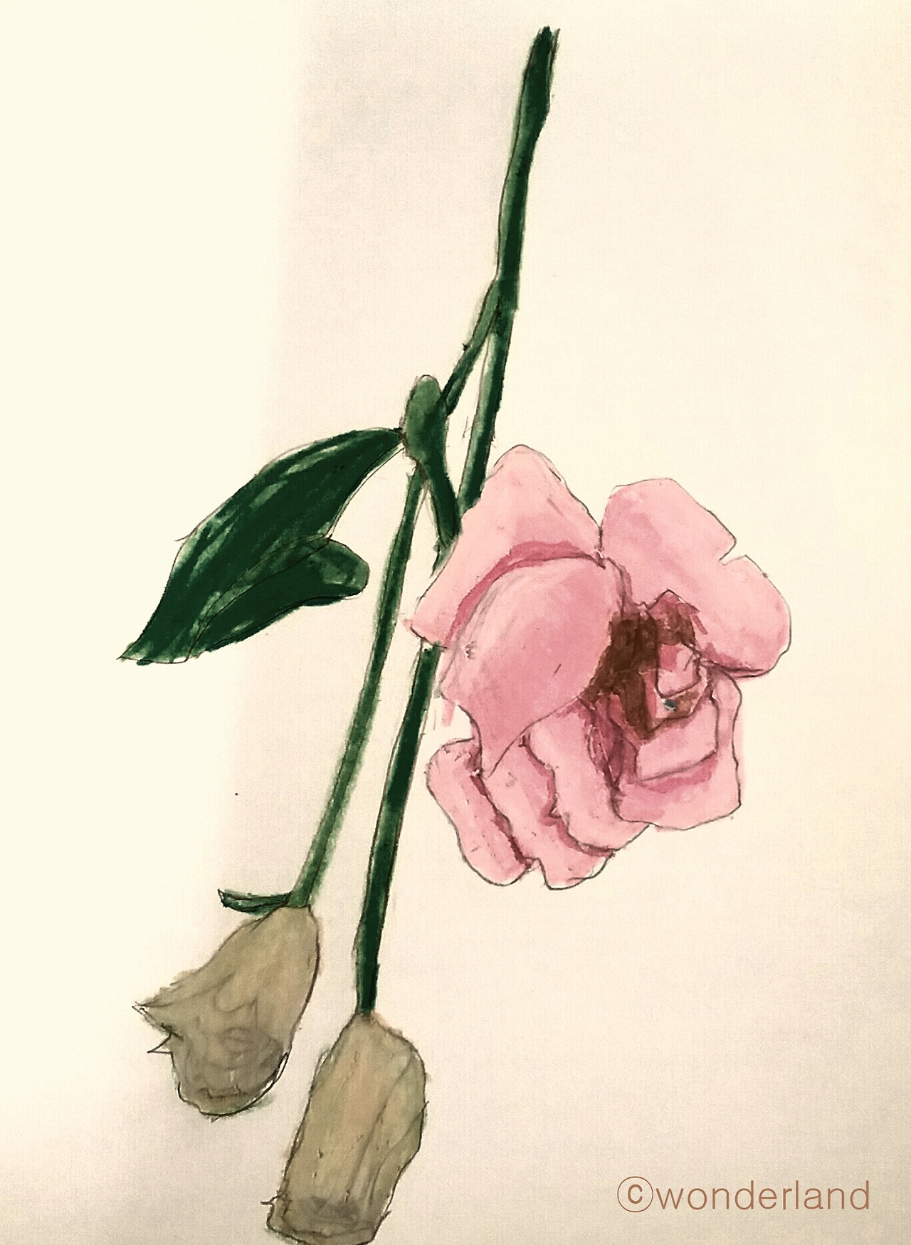 12018-11-28 11.45.36 copy.jpg