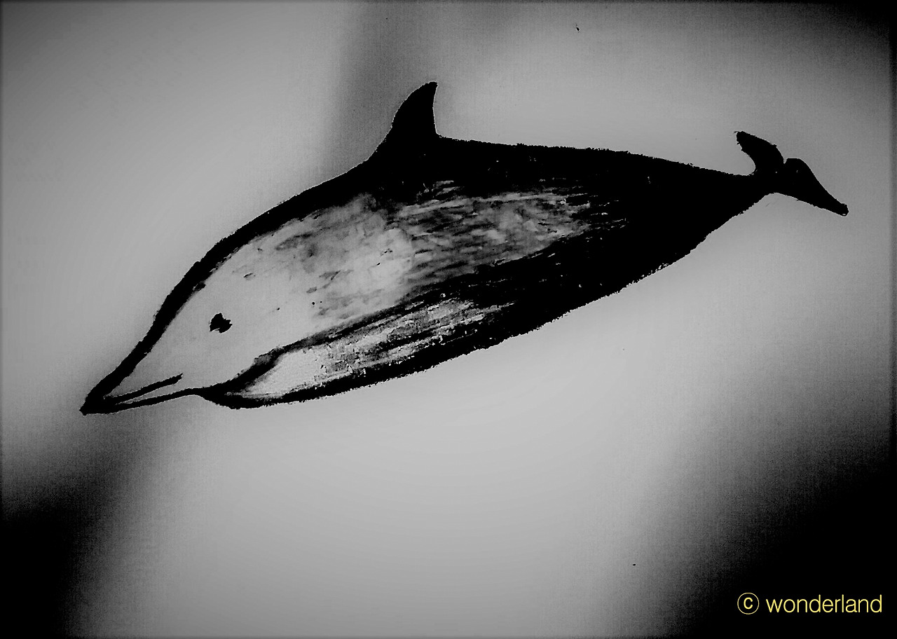 12018-12-06 04.35.46.jpg