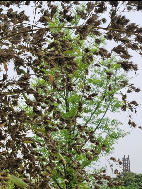 Screenshot_20250728_193638_Naver Blog.jpg