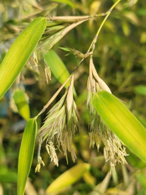 Screenshot_20250728_193429_Naver Blog.jpg