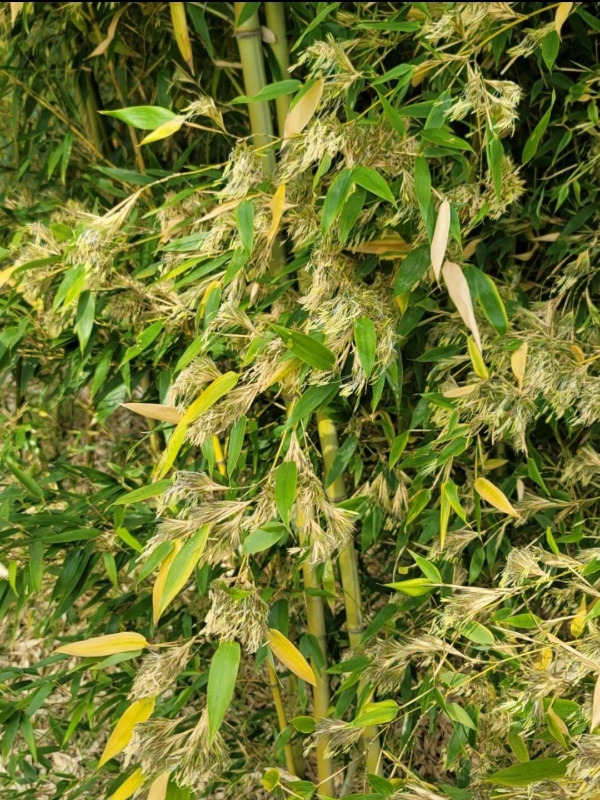 Screenshot_20250728_193605_Naver Blog.jpg