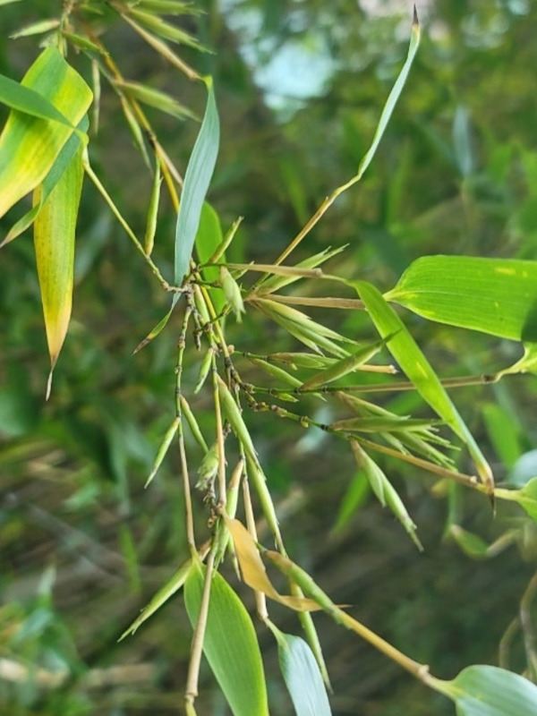 Screenshot_20250728_194524_Naver Blog.jpg