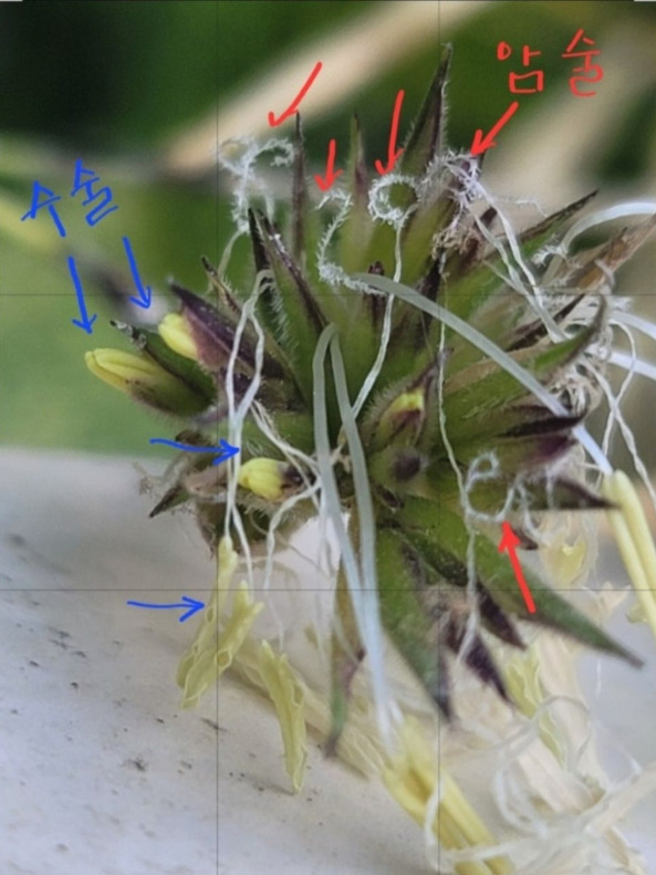 Screenshot_20250728_193506_Naver Blog.jpg