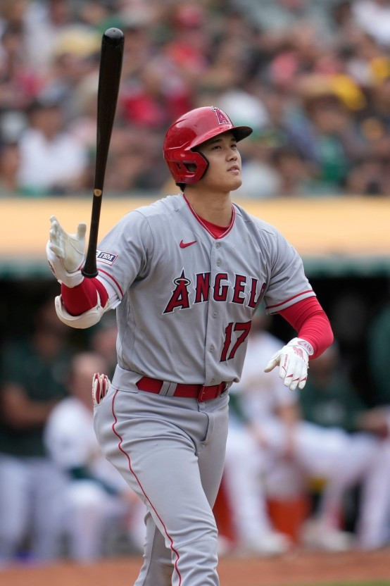 오타니 기사에서.jpg