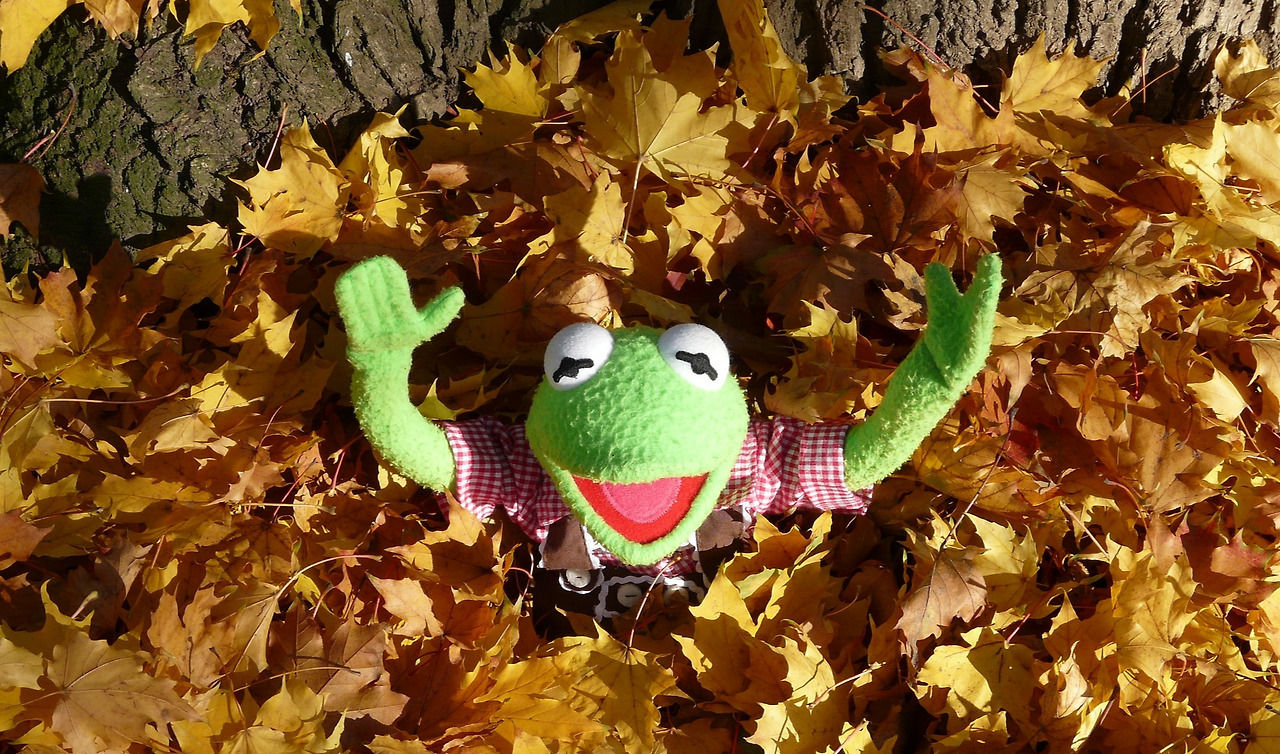 kermit-62817_1920.jpg