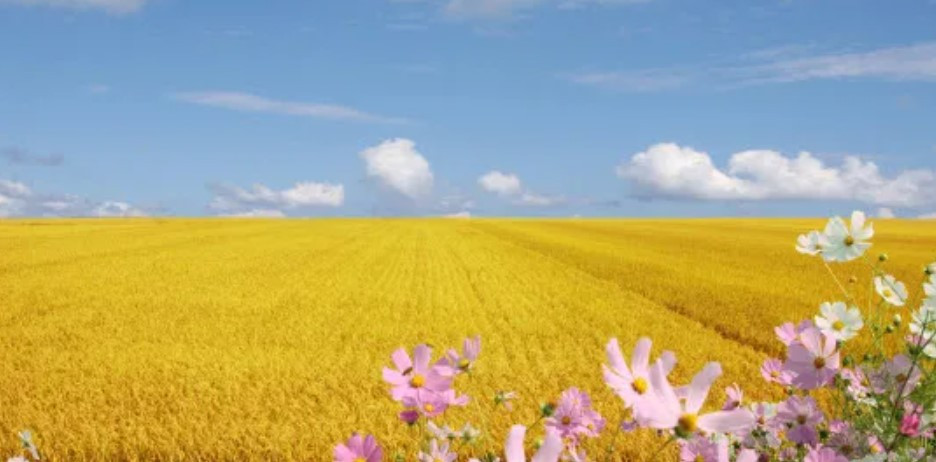 화면 캡처 2024-08-20 085003.jpg