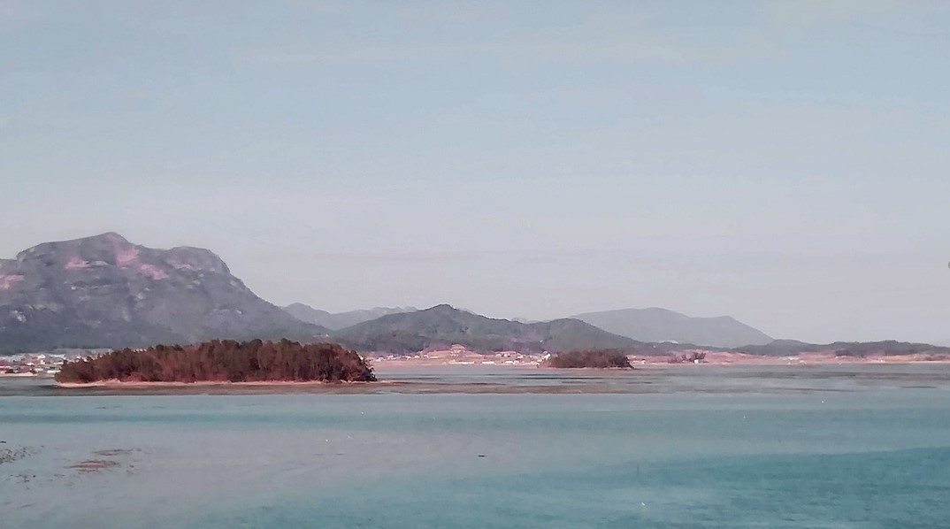 화면 캡처 2024-03-14 184231.jpg