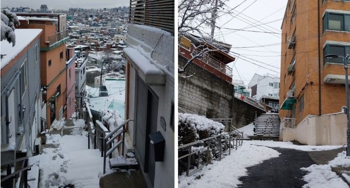 화면 캡처 2024-03-13 144213.jpg