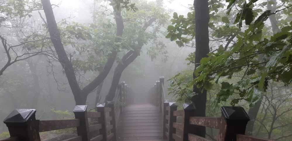 크기변환_43.찰피 (2).jpg