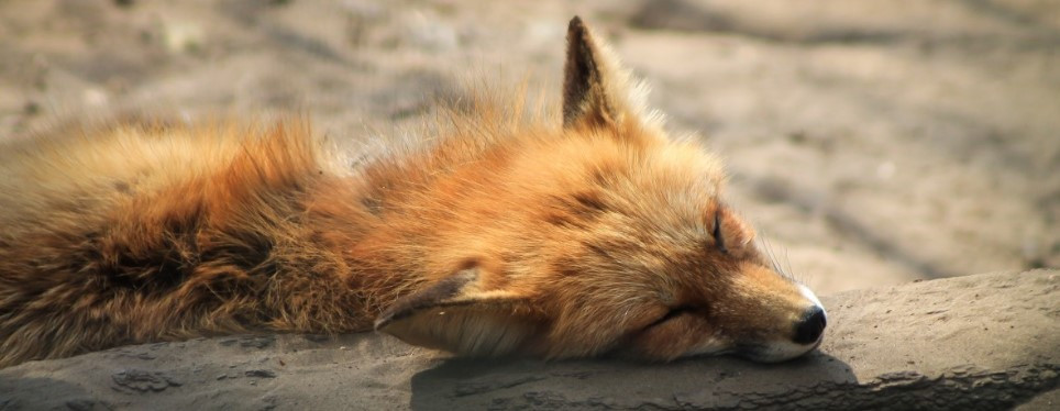 화면 캡처 2024-01-29 094701.jpg