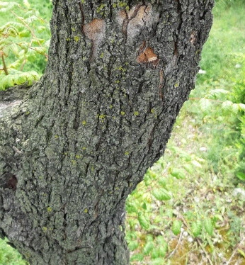 사본 -[크기변환]20200518_113753.jpg