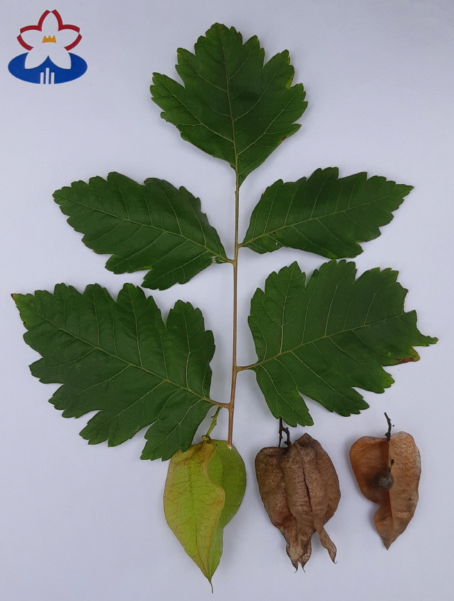 [크기변환]사본 -20200711_160807.jpg