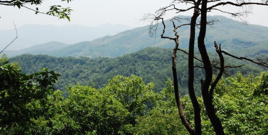 크기변환_2018-05-24 23.46.18.jpg