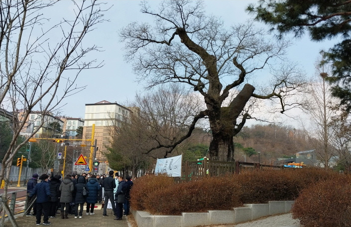 크기변환_237p 회화나무 앞에서 지내는 고사 (판교동).jpg