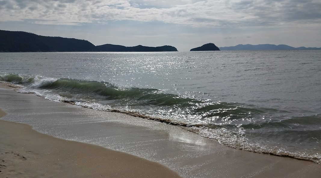 화면 캡처 2024-03-14 184206.jpg