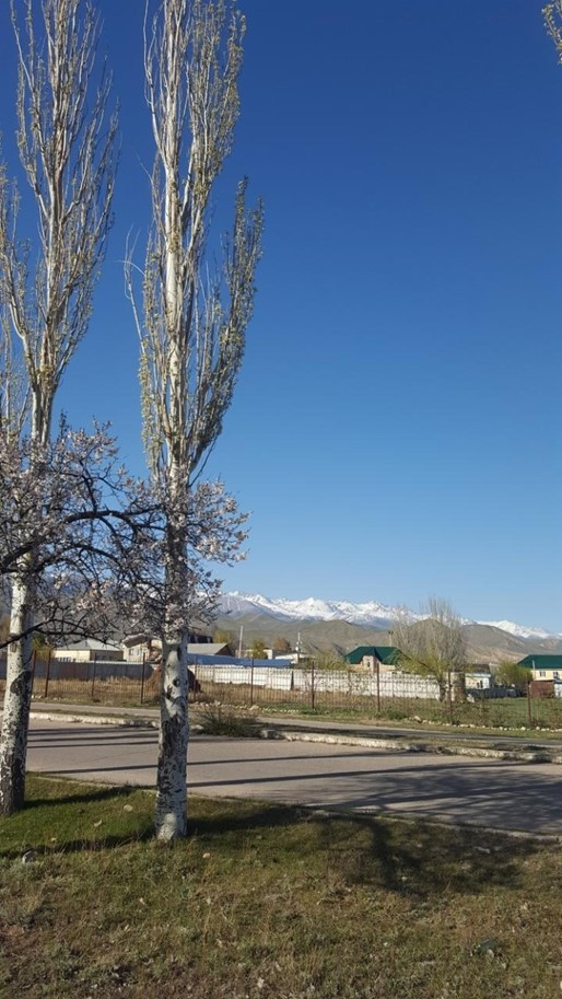 키르기 촐폰아15.jpg