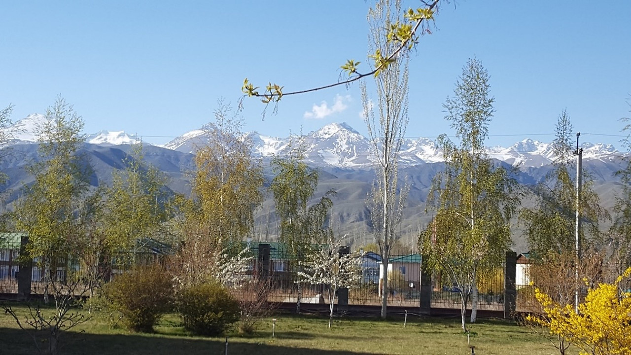 키르기 촐폰아14.jpg