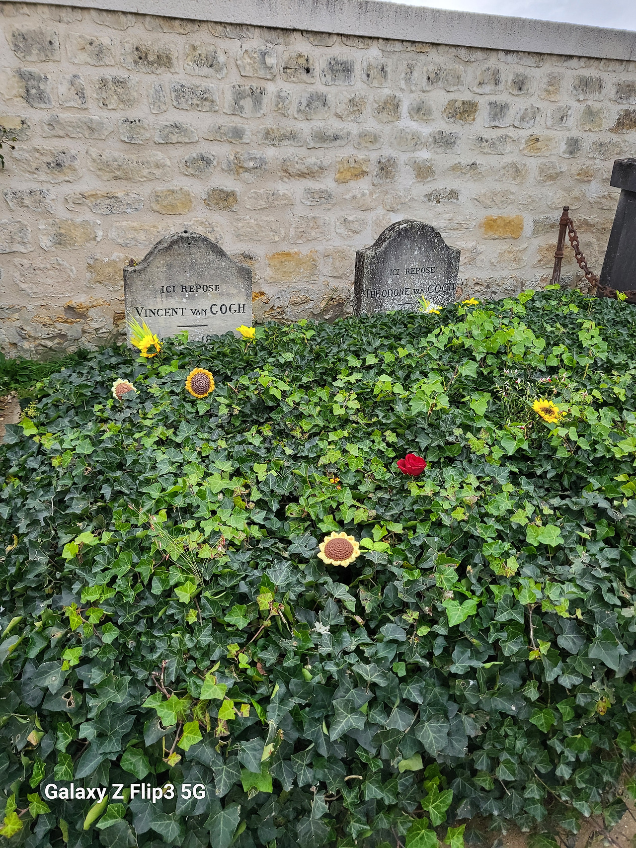 20251101_084856 (2).jpg