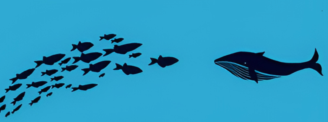 제목을-입력해주세요_-001 (4).jpg