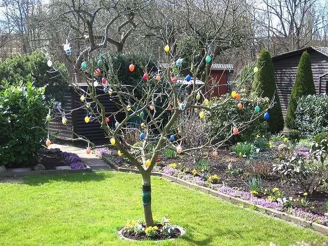 easter-in-the-allotment-1249571_640.jpg