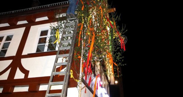 Maibaum-stellen-620x330.jpg