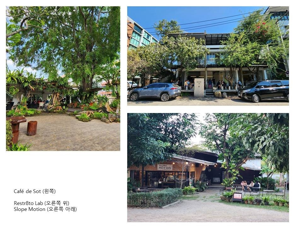 나무가 있는 카페.jpg