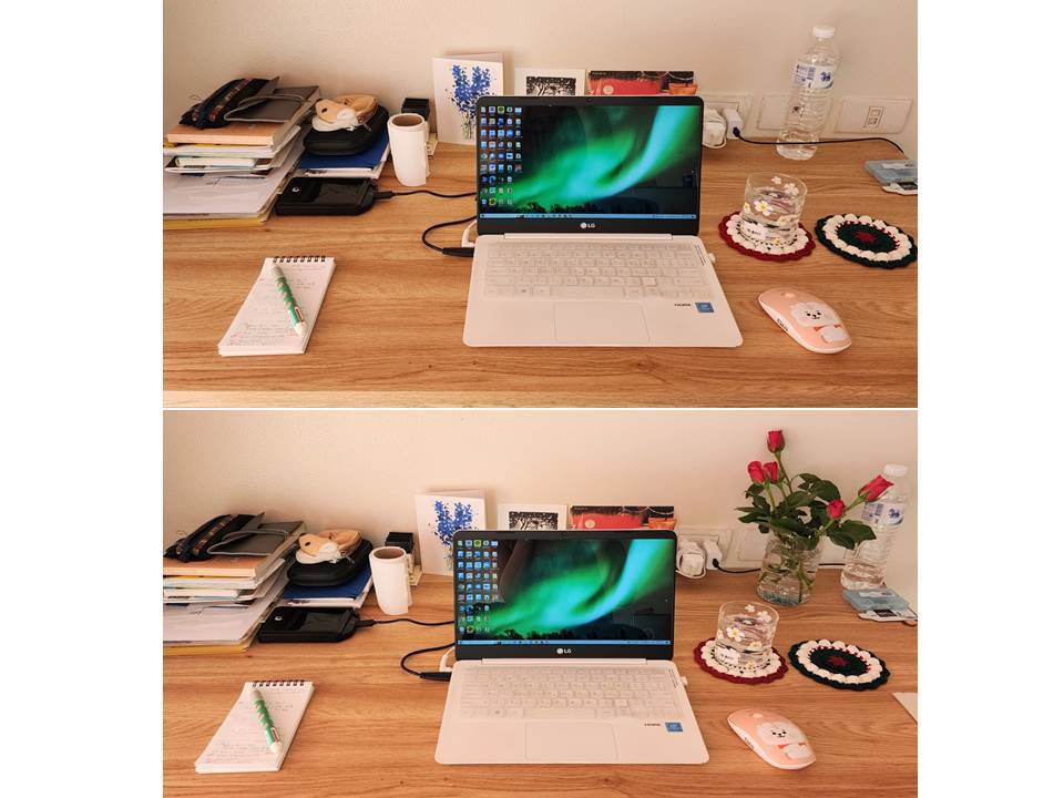 브런치 장미꽃.jpg