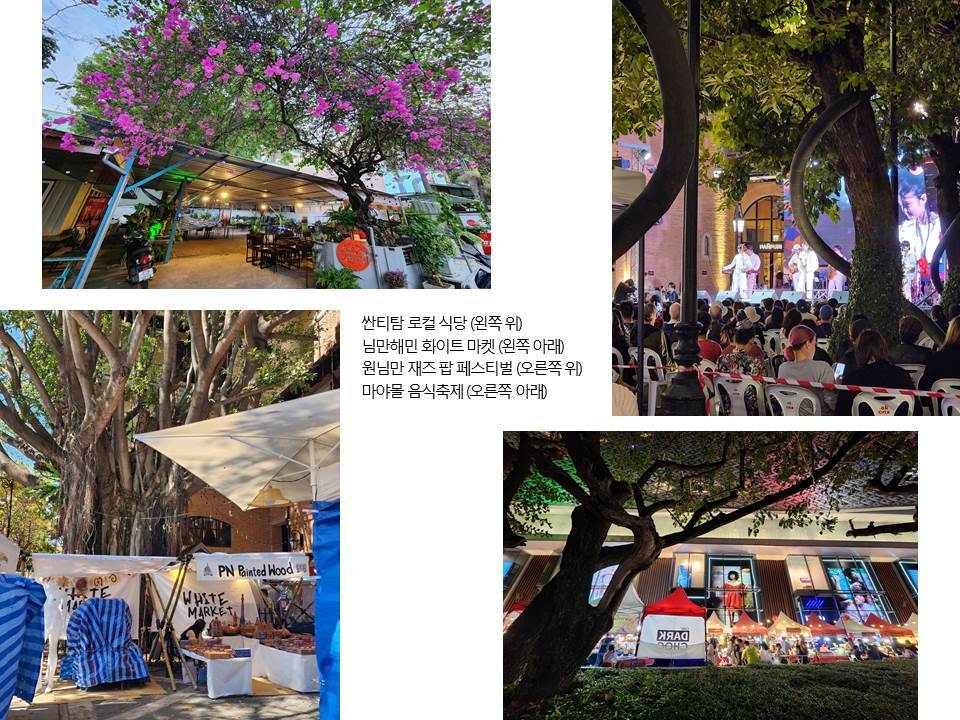 배경이 되는 나무.jpg