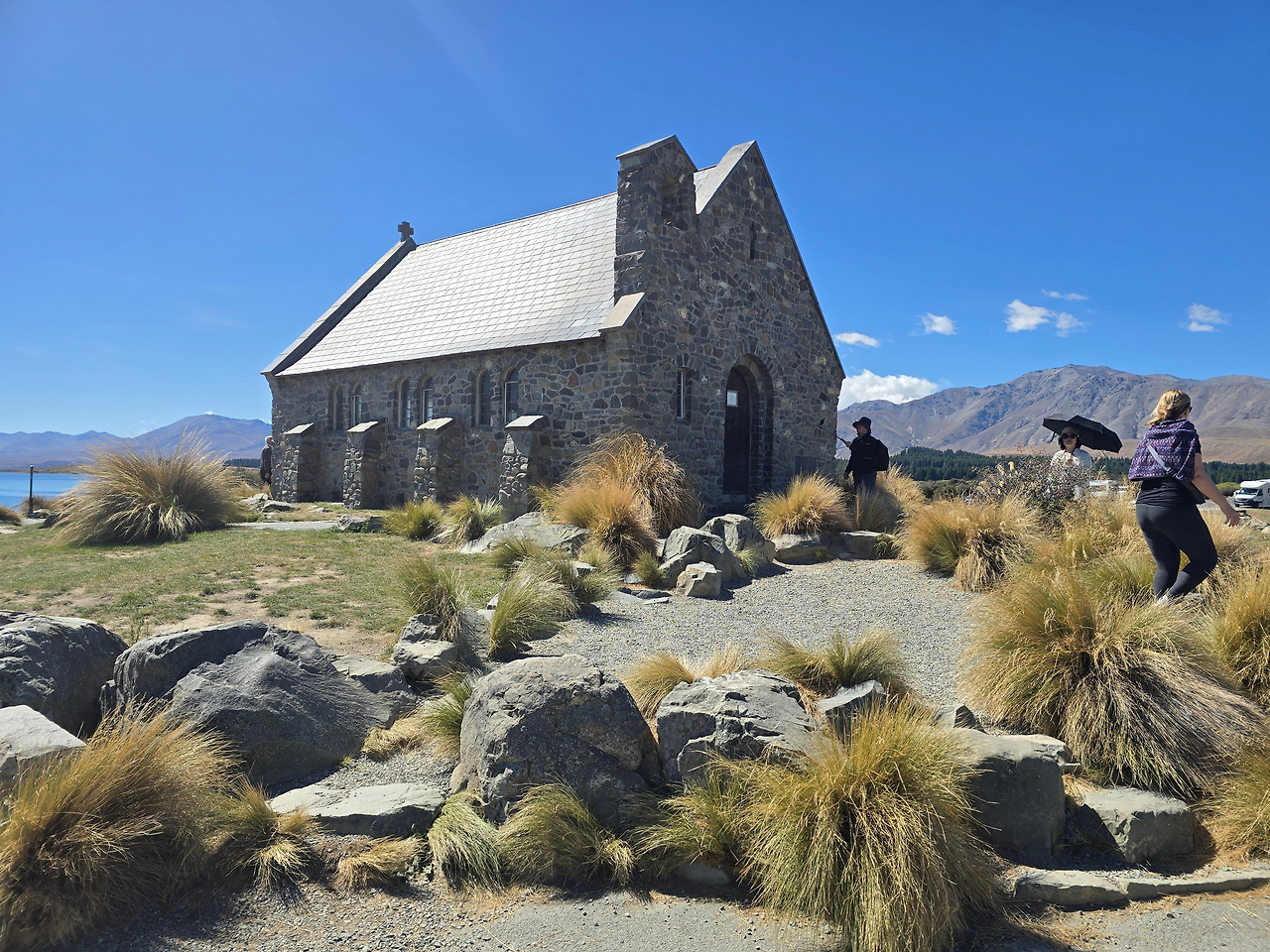 20250309_130828 (1).jpg