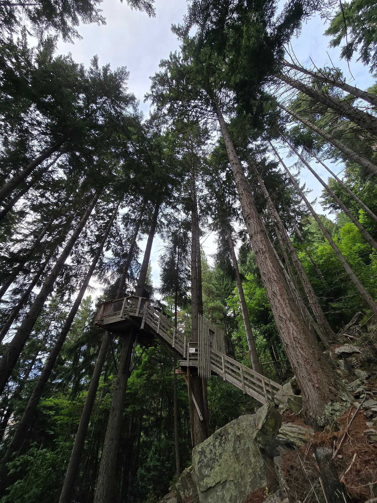 20250301_084546 (1).jpg